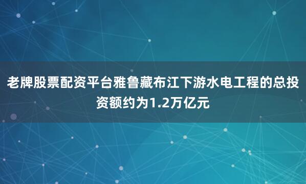 老牌股票配资平台雅鲁藏布江下游水电工程的总投资额约为1.2万亿元