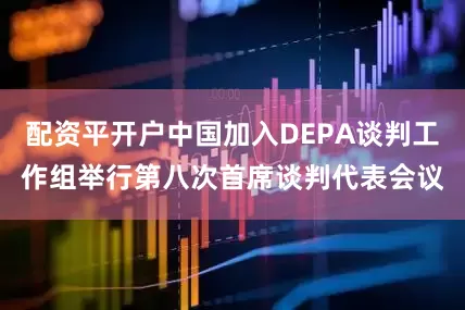 配资平开户中国加入DEPA谈判工作组举行第八次首席谈判代表会议